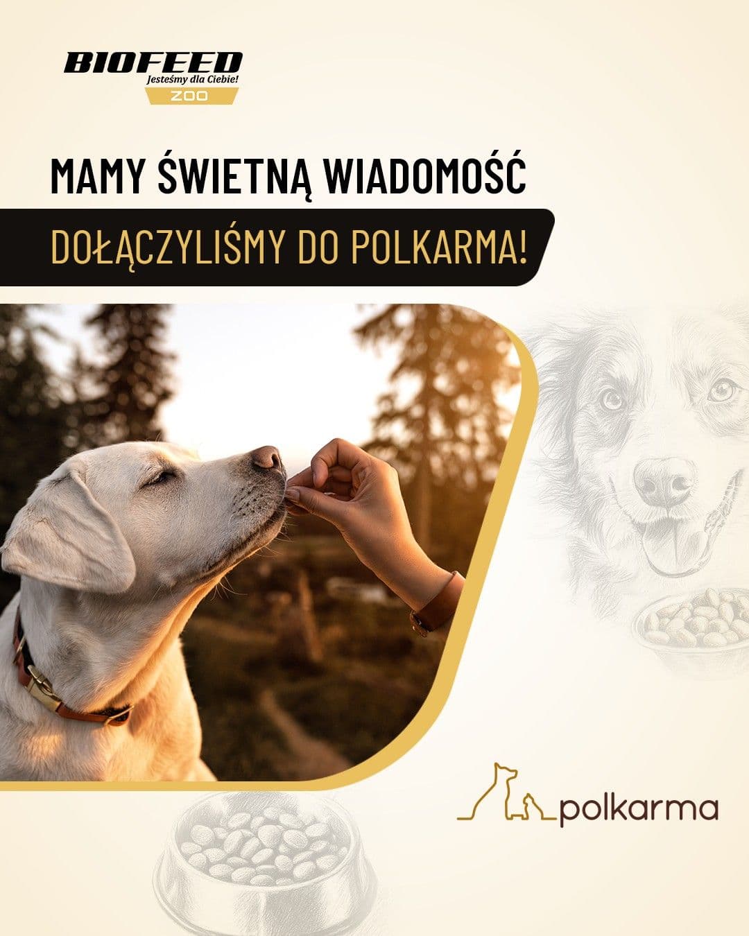 Jesteśmy członkiem Polskiego Stowarzyszenia Producentów Karmy dla Zwierząt DomowychDołączyliśmy do POLKARMA! 🐾